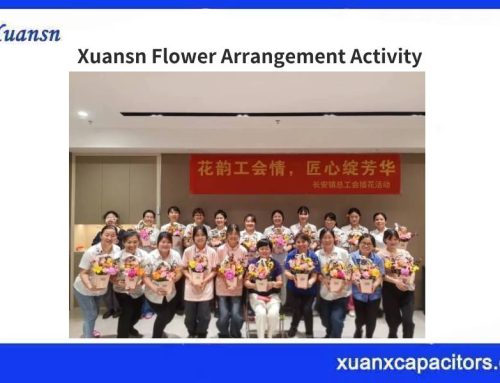 Xuansn Flower Arrangement Activity